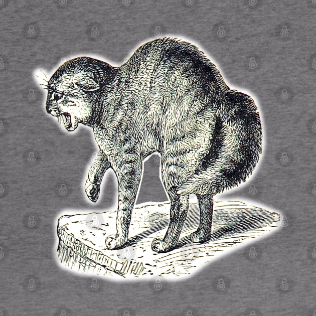 Creepy cat preparing to attack. Vintage drawing. by Marccelus